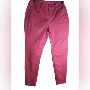 Sound Style Ultimate Silk Stretch Soft Jamie Ankle Slim And Sleek Womens Pants